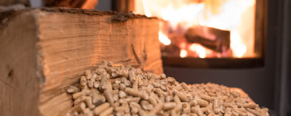 Bois de chauffage dans le 27